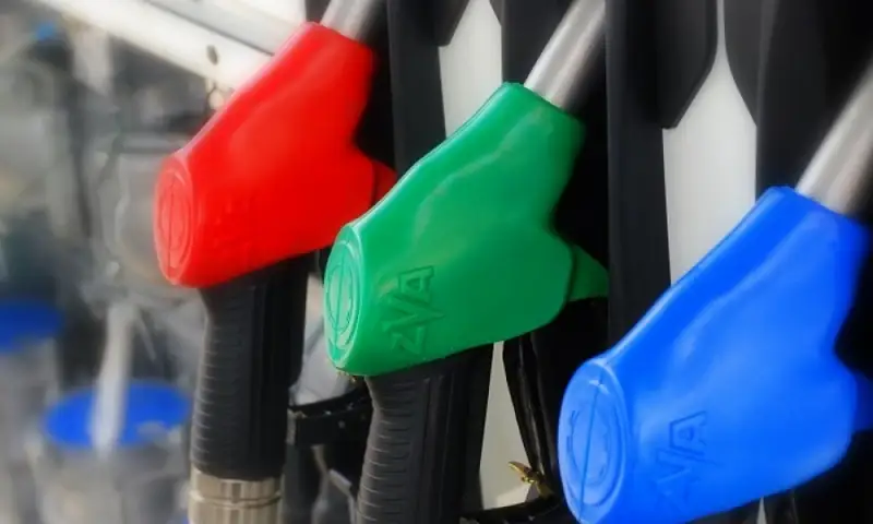 Жанармай бағасы қымбаттайды