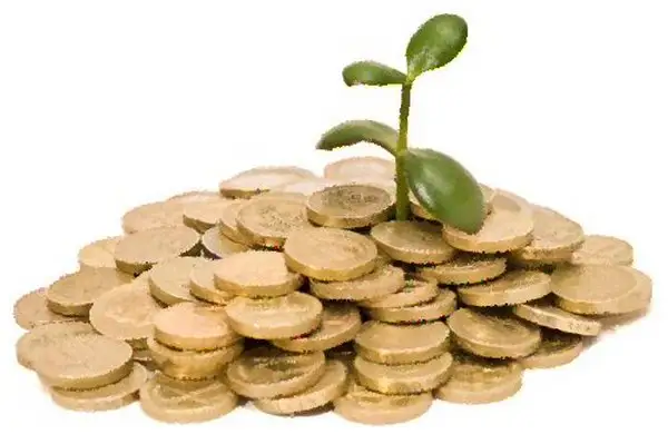 Несиелеуді арттыру үшін көп шектеу алынды 