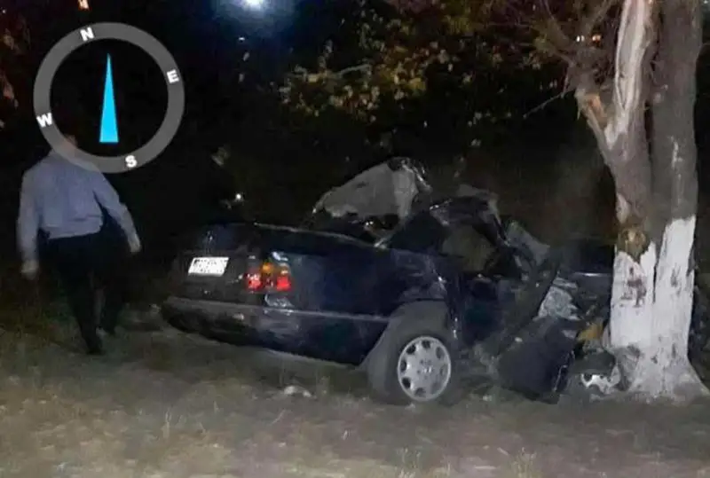 Алматы облысында жол апатынан 4 бала, екі ересек адам көз жұмды