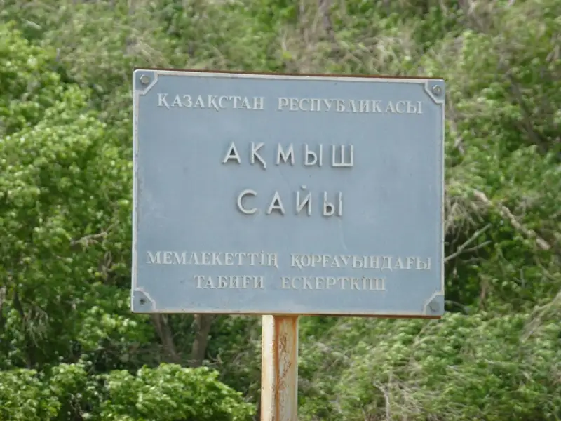 Маңғыстауда тағы дау: Миллиондар жымқырылды