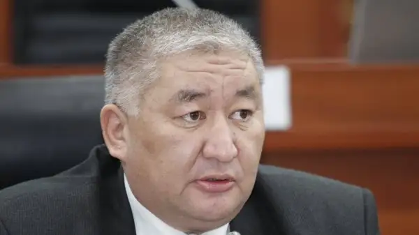 Депутат Үкімет басшысын қызметінен кетуге шақырды