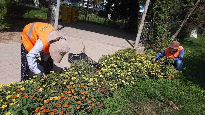 Жасыл желектерді күтіп ұстау тұрақты түрде жүргізіледі