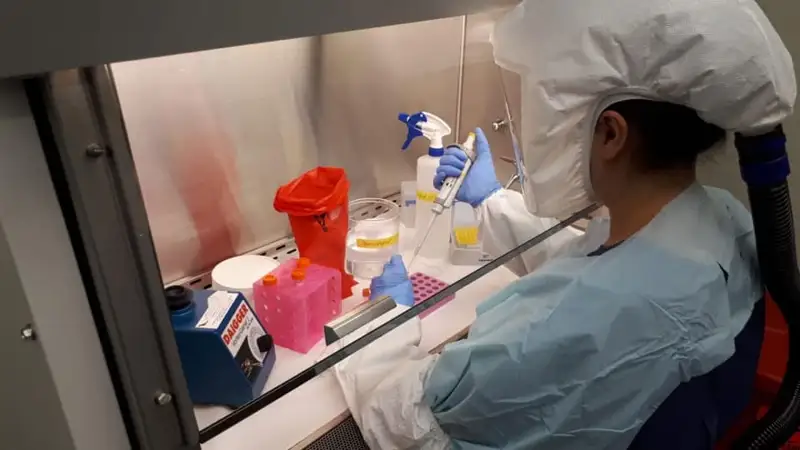 Коронавирусқа қарсы вакцинаны сынақтан өткізетін күн белгілі болды