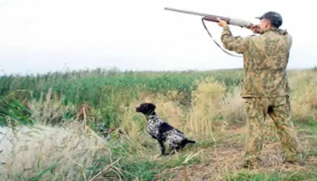 Аңшы үш күннен бері іздестіріліп жатыр 