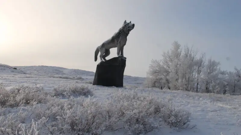 Қарағанды облысында бөрінің 9 метрлік мүсіні орнатылды