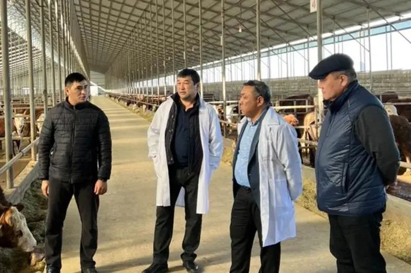 Мәжіліс депутатымен кездесуде ауыл шаруашылығындағы түйткілдер көтерілді