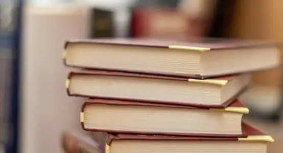 Сенатор: 100 жаңа оқулықты қазақ тіліне аударуды жалғастыру қажет