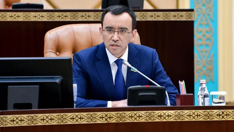 Мәулен Әшімбаев: Отбасындағы зорлық-зомбылықты тек заңнаманы өзгертумен шешуге болмайды
