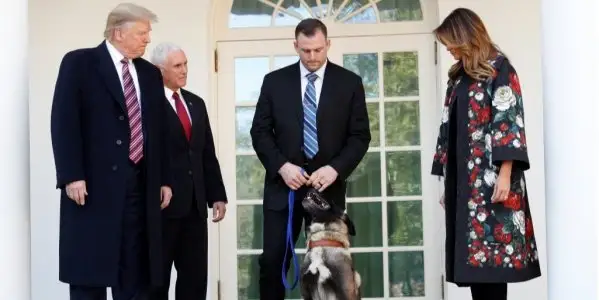 Трамп Ақ үйде итті қабылдады