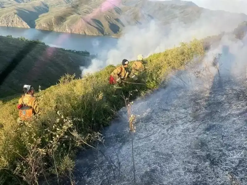 Шығыс Қазақстанда шыққан өртті сөндіру үшін пойыз жөнелтілді
