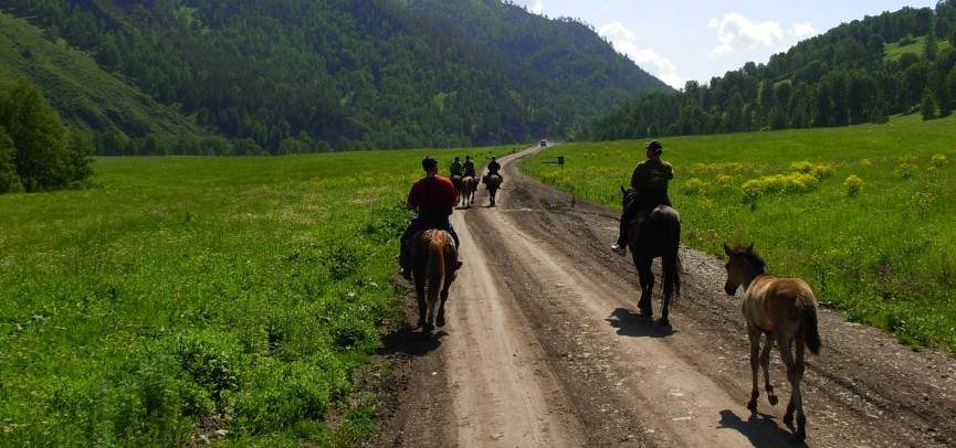 Агротуризмді дамыту моделі әзірленбек