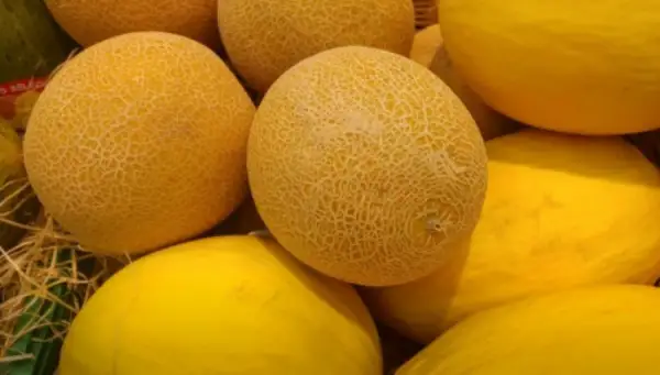 Қауынның пайдасы мен зиянын білесіз бе? 