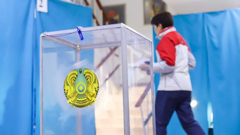 Мемлекет басшысы Мәжіліс және мәслихат сайлауы туралы ойын айтты