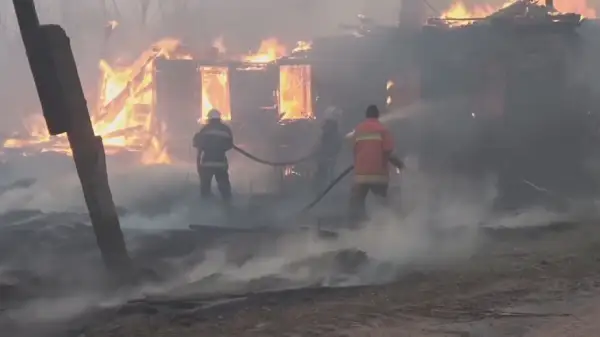 Украинада орман өрті өршіп тұр