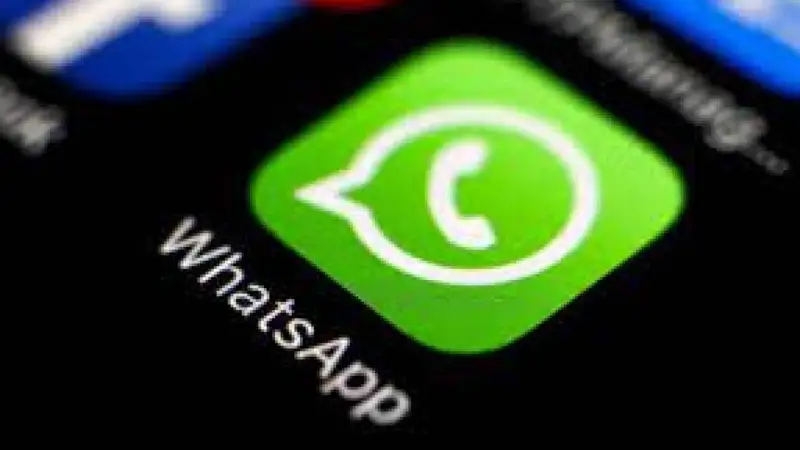 Әйелінің ұят видеоларын WhatsApp-қа салған еркектің басы дауға қалды