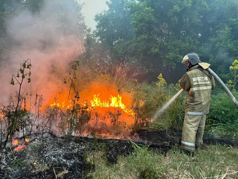 ТЖМ: Абай облысының аумағындағы орман өрттерінің жағдайы тұрақтануда