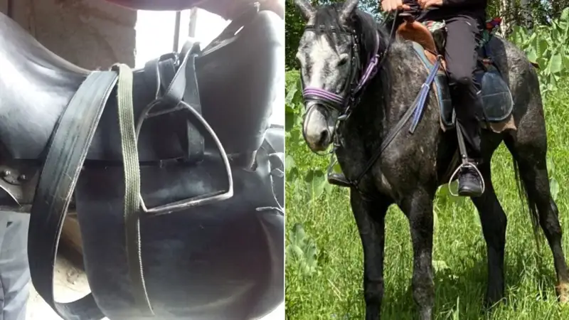 Талғарлық қос барымташы қолға түсті