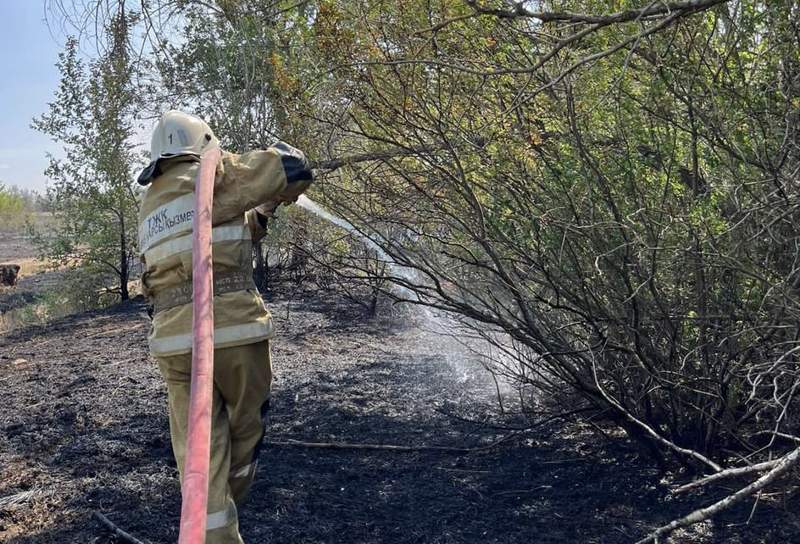 Ұлан ауданы Приморск орманшылығындағы өрт сөндірілді