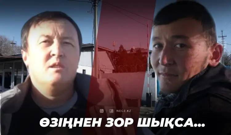 «Машинамен сүйреді, ағаш сынғанша ұрды...»