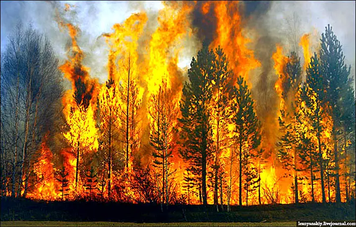 Құрғақ шөптер жанында от тұтатуға болмайды 