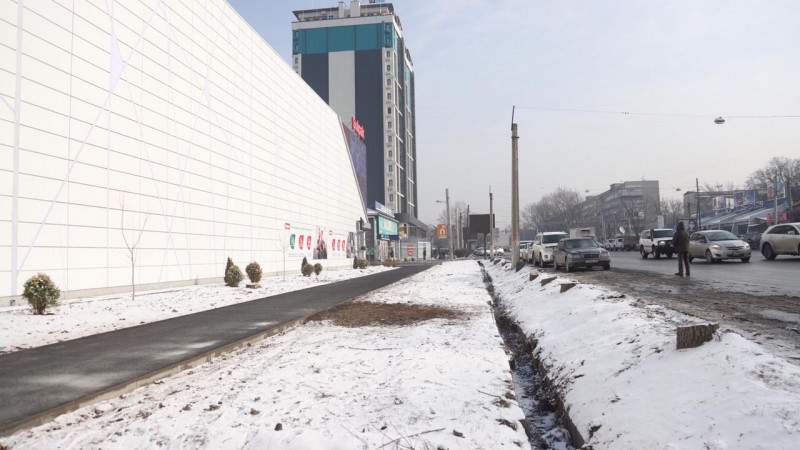 Sulpak директоры сотта сөз сөйледі