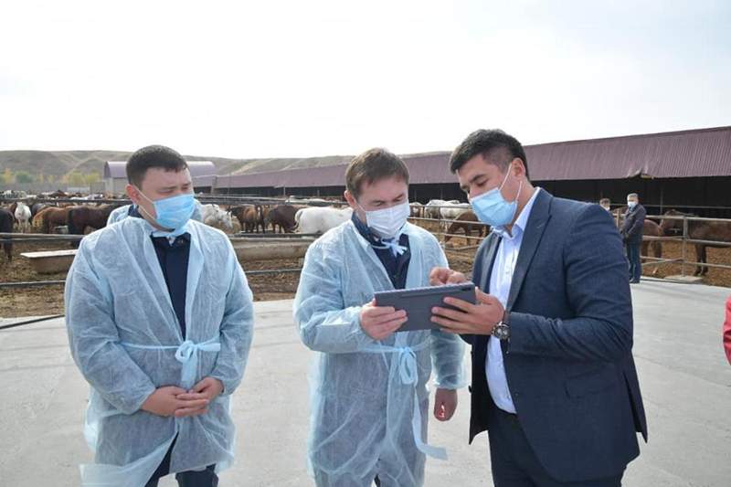 Елімізде алғаш болып Шымкентте «VET QYZMET» пилоттық жобасы іске қосылды