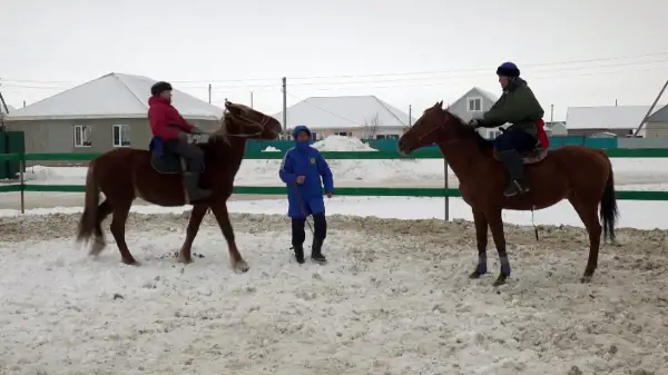 Оралдық фермер қала шетінде жылқы бағып отыр
