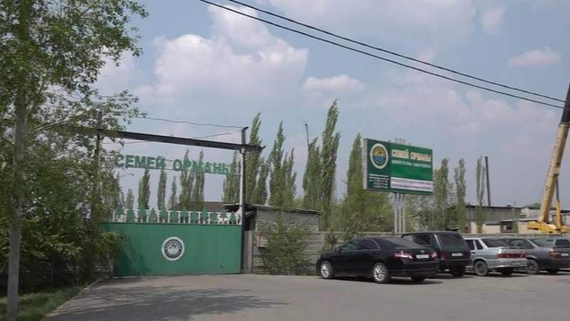 «Семей орманы» басшылары жемқорлық үшін 10 жылға сотталды