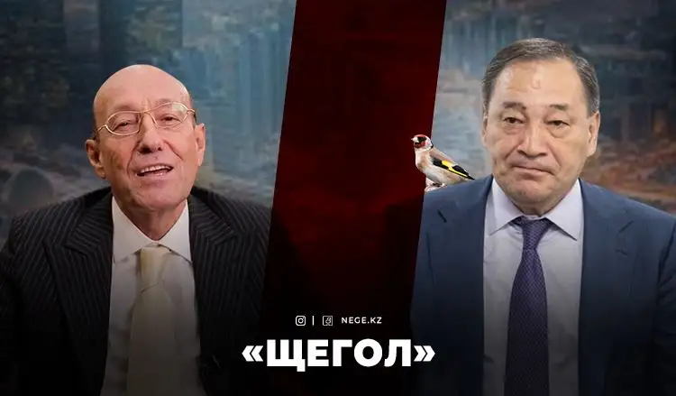 «Торғай тұқымдас» ТОҒЖАНОВ