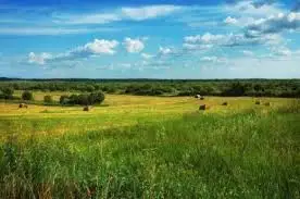 Жайылым жерлерін әділ бөлудің жаңа тетігі әзірленіп жатыр