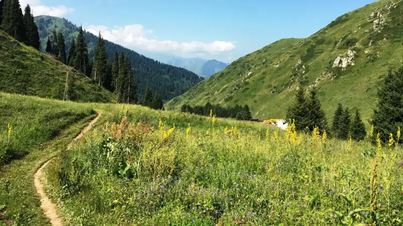 Көк-Жайлау Іле-Алатау ұлттық саябағына қайтарылады