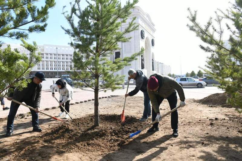 Елордада 4 мың көшет отырғызылды