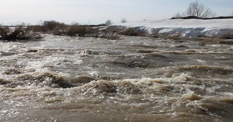 Солтүстікті су алды 