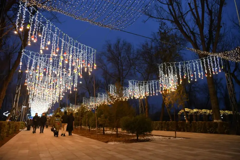 Оңтүстік Қазақстан әкімдігі Жаңа жылда 2017 жылы алынған шыршаны орнатады