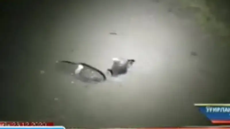 16 жастағы қыз өзін алып қашқан көліктен секіріп қайтыс болды