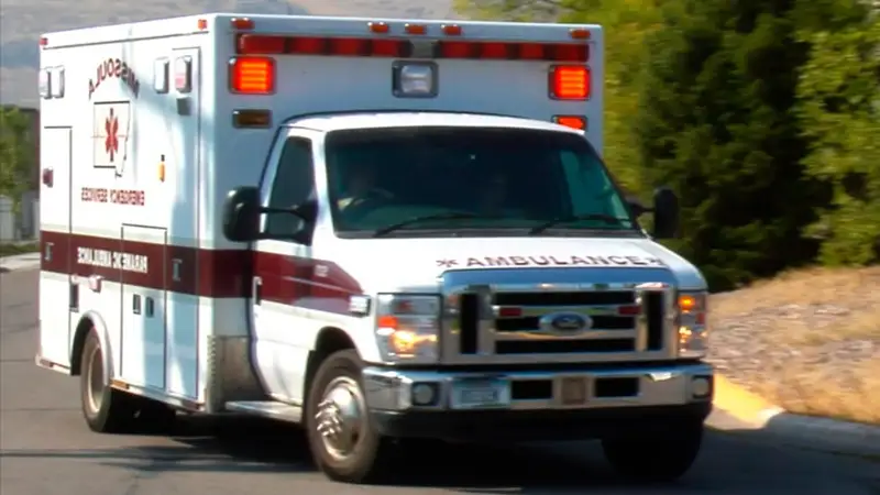 Мобильді топтардың  жұмыс  тәртібі қандай?