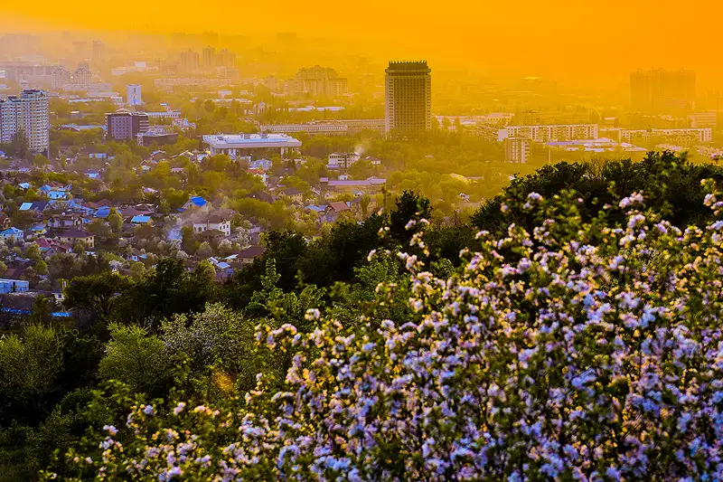 Алматы – «бақшалы қала» бола ма? 