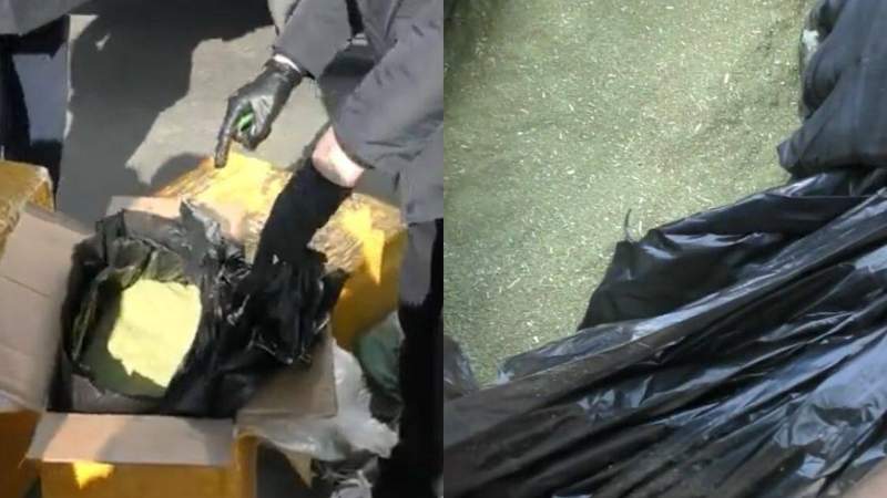 Жамбыл облысының екі тұрғынынан 151 келі гашиш тәркіленді 