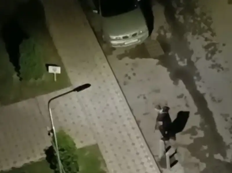 Алматыда қару асынған ер адам атыс шығарған