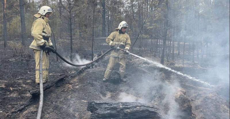 ТЖМ Абай облысындағы жағдайды айтты