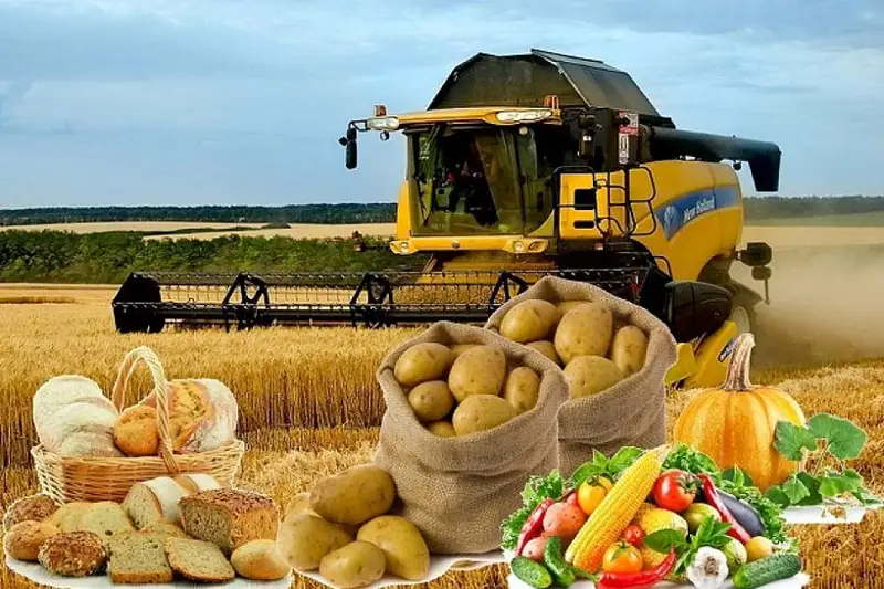 Агроөнеркәсіп кешеніне 677,2 млрд теңге инвестиция құйылды