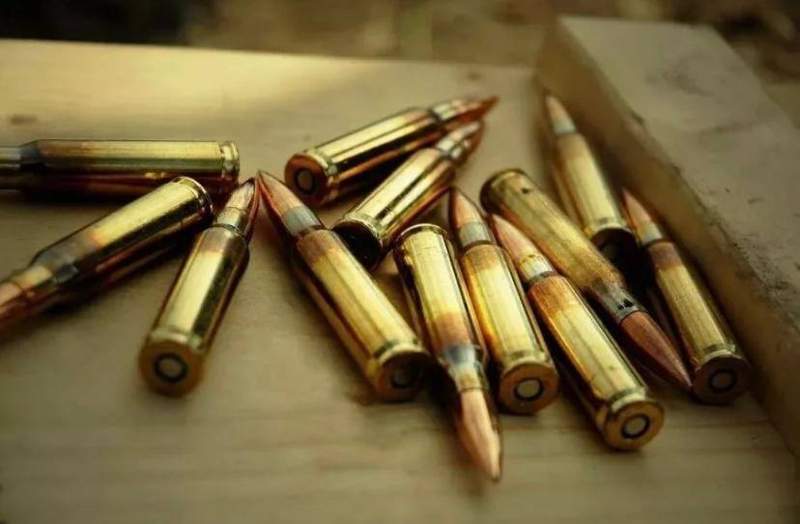 Абай облысында оқ-дәріні заңсыз сақтаған тұрғын қылмыстық жауапкершілікке тартылды  