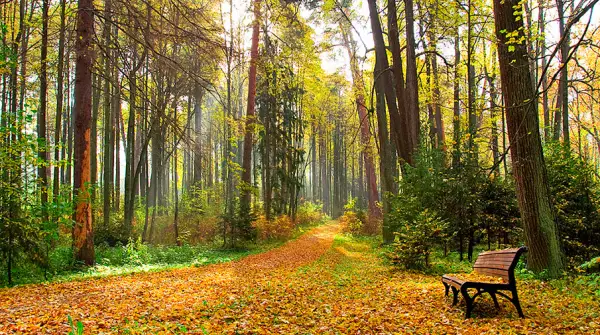 Қыркүйек айында ауа райы қандай болады? 