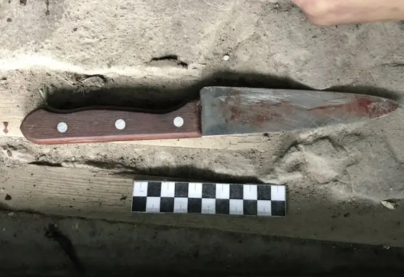 Алты жастағы қызын зорламақ болған: Алматылық әйел бұрынғы күйеуін пышақтады