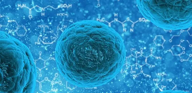 Ғалымдар әлемге белгісіз жаңа вирус тапты