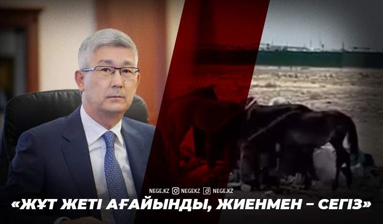 «Трұмовтың түйелері картонды сүйіп жейді екен...»
