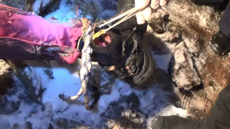 Екі адамды тірідей өртеген қылмыскерлер қалай ұсталды?