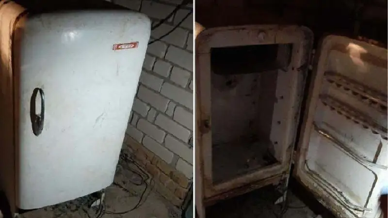 Батыс Қазақстанда 5 жасар бала тоңазытқышқа қамалып, қайтыс болды