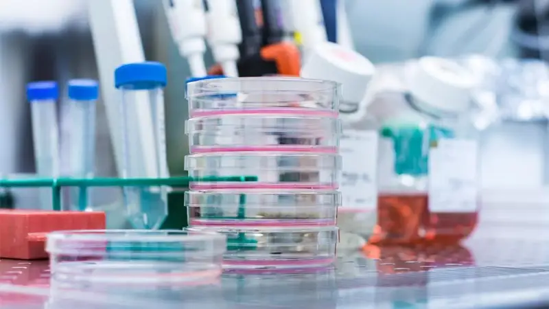 «Сәби» қоры мен Kaspi.kz коронавирусқа арналған тест сатып алуға 200 млн теңге бөлді