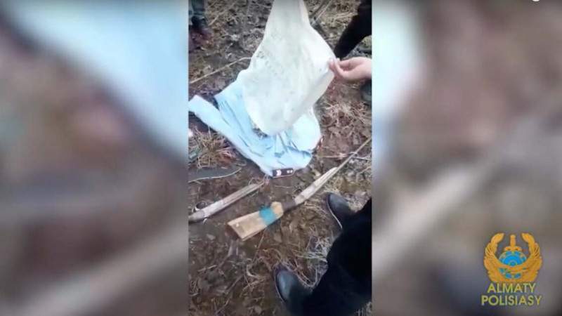 Алматыда Баум тоғайынан қару жасырылған орын табылды